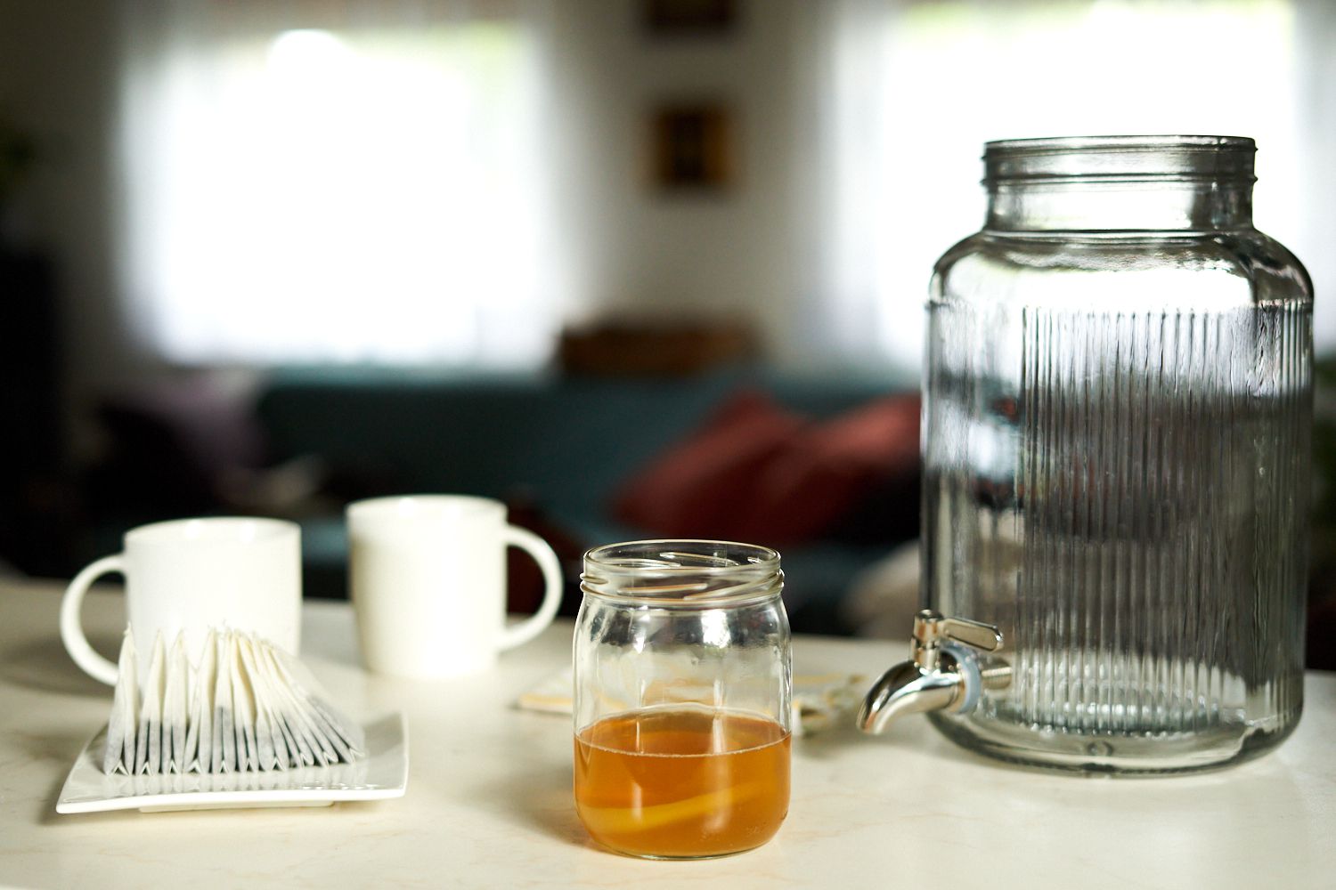 加仑大小的玻璃容器和康普茶制造用品在家中展示