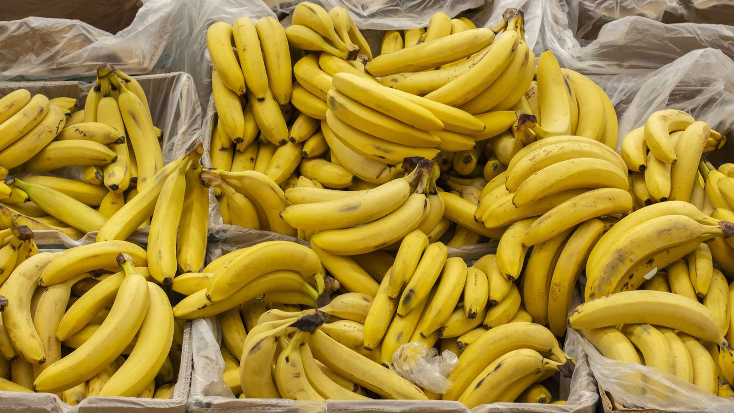 串香蕉在盒子分布。