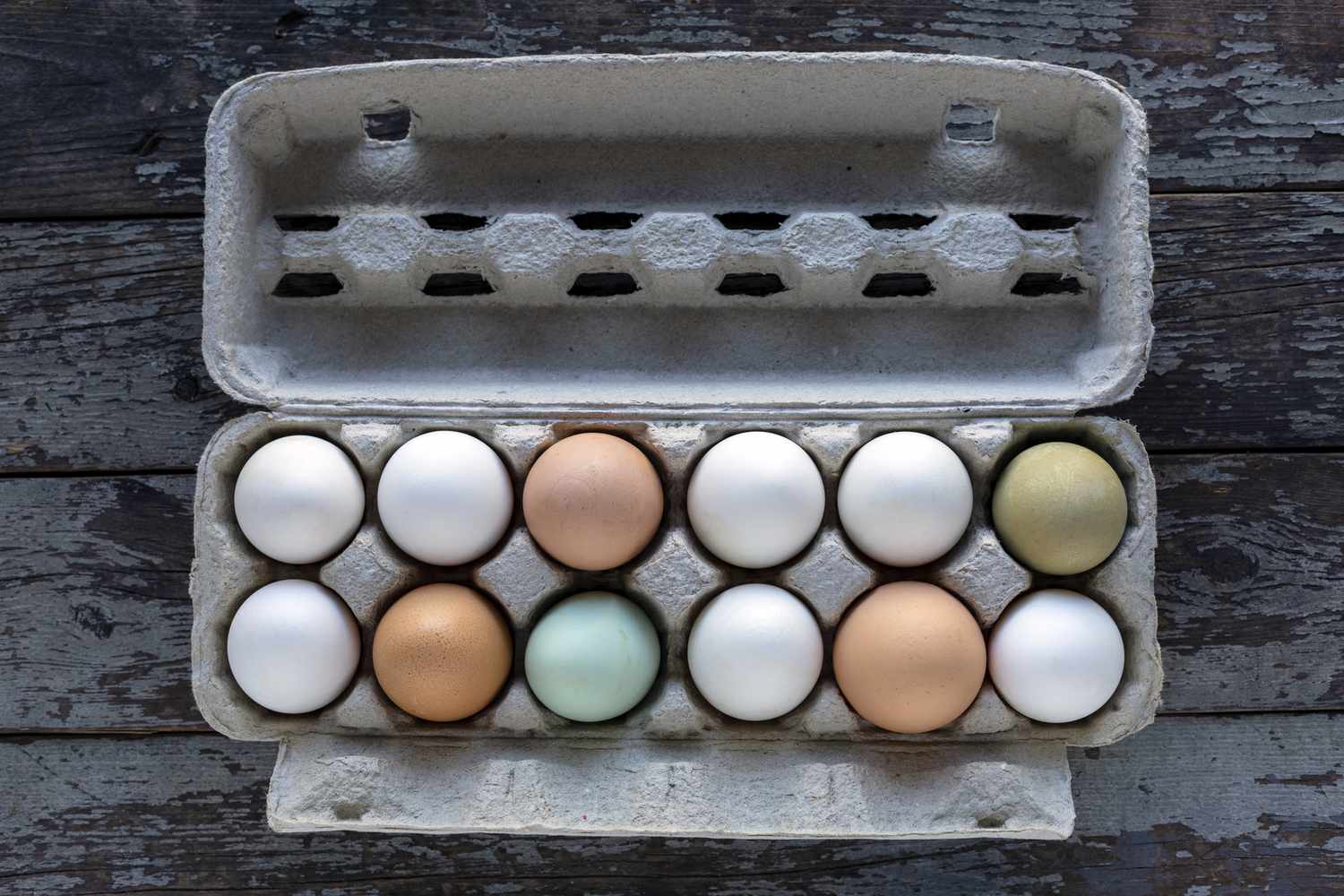 各种各样的传家宝母鸡鸡蛋放在白色的色调,浅棕色,浅蓝色