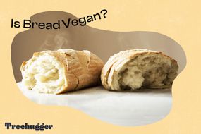 面包素食主义者是一条蒸的法国面包“width=