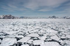 格陵兰岛的海冰融化