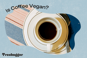 是咖啡素食照片插图