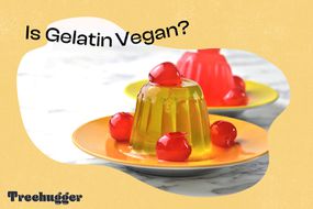明胶是素食主义者在盘子上摇摆的果冻模具甜点吗