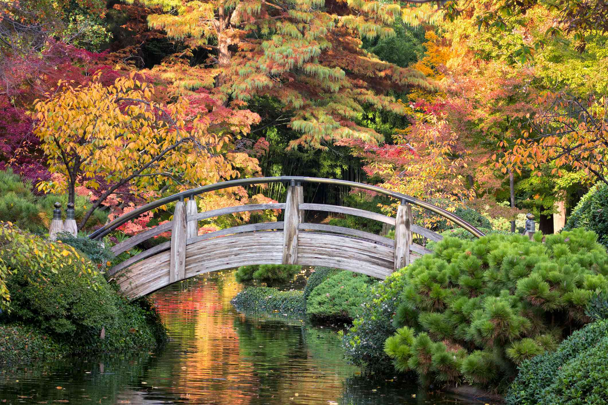 秋叶前的木桥。＂width=