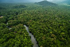 雨林鸟瞰图在巴西