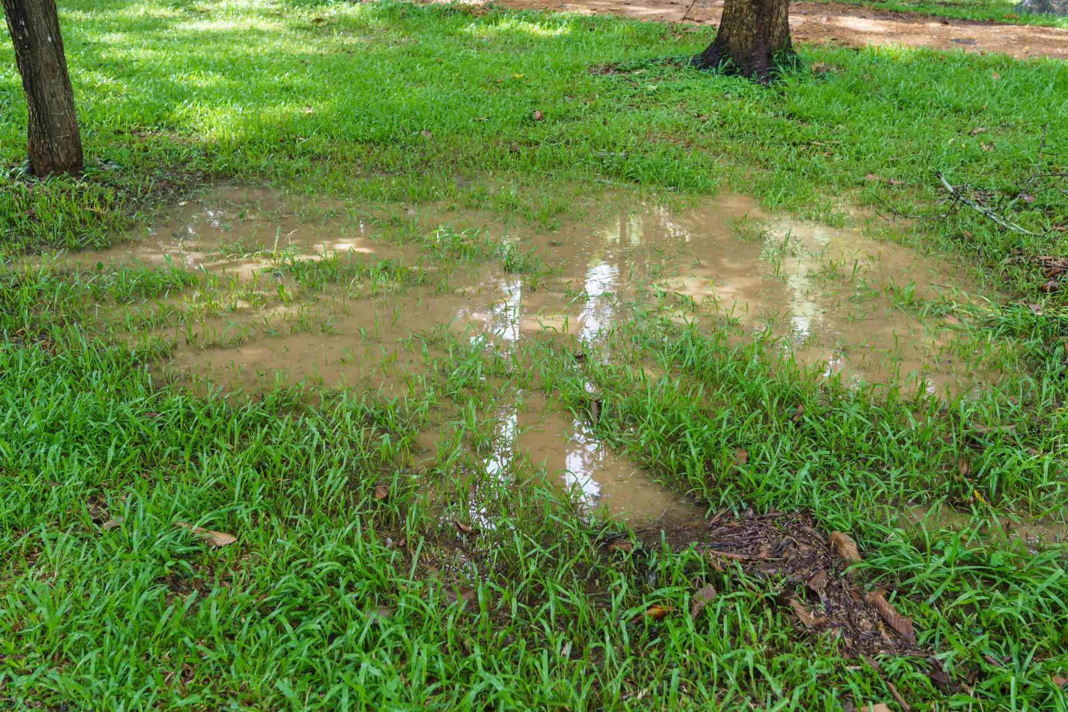 雨点:院子里雨水聚集的低点＂width=