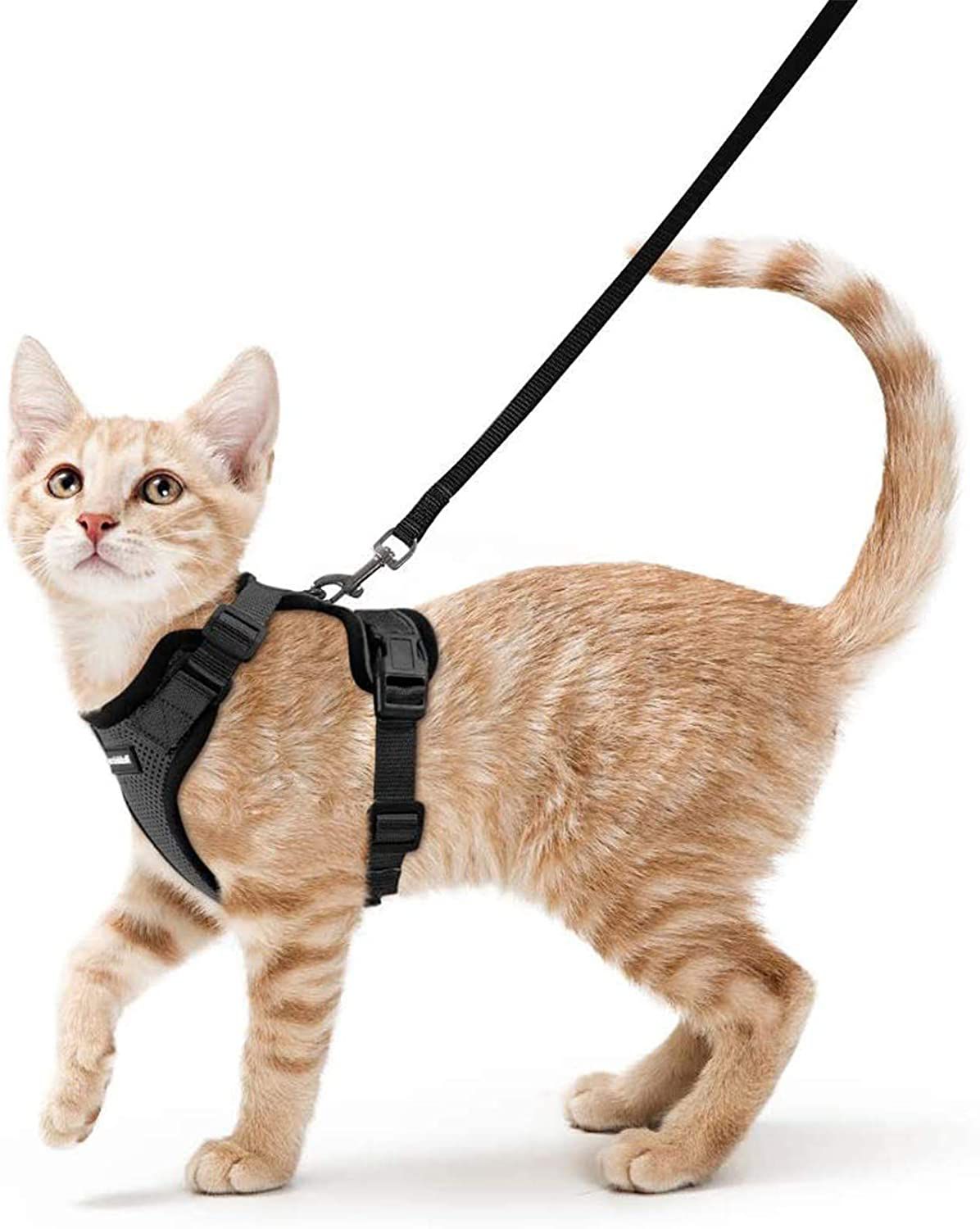 Rabbitgoo可调节的猫安全带和皮带套装