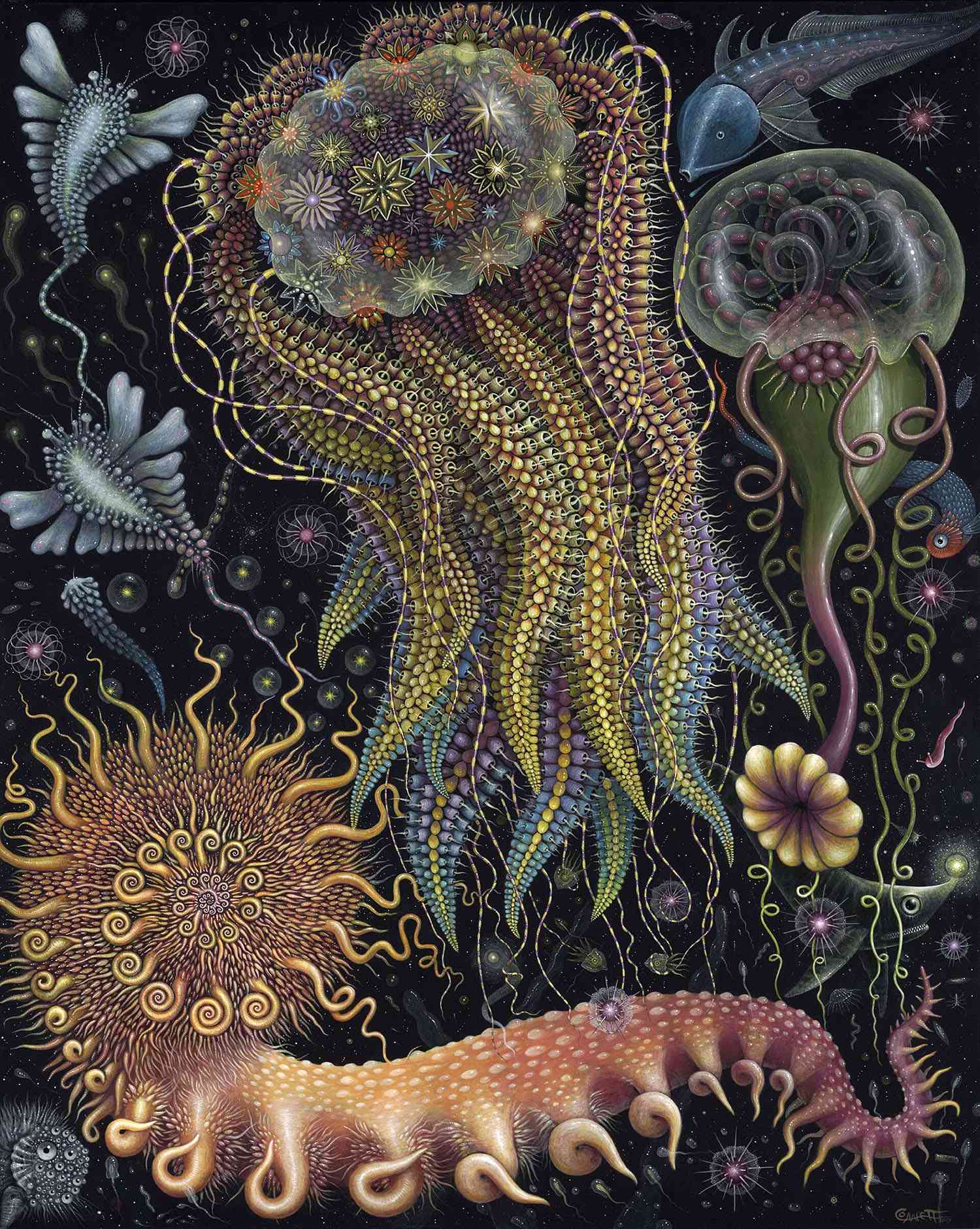 奇幻的海洋生物绘画罗伯特·史蒂文·康妮特（Robert Steven Connett）