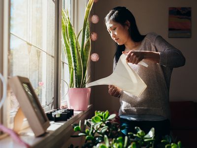 女人浇水在室内