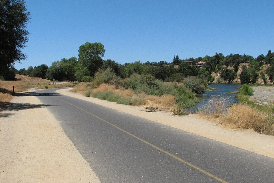 一条穿过加州林地的自行车道