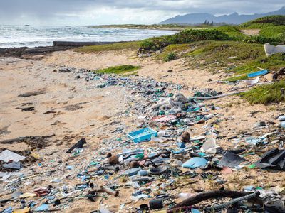 塑料垃圾在海滩上