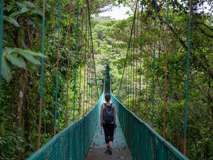 哥斯达黎加Monteverde云雾森林生物保护区