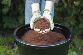 带有花园手套的人在堆肥桶上占据少量堆肥土壤“width=