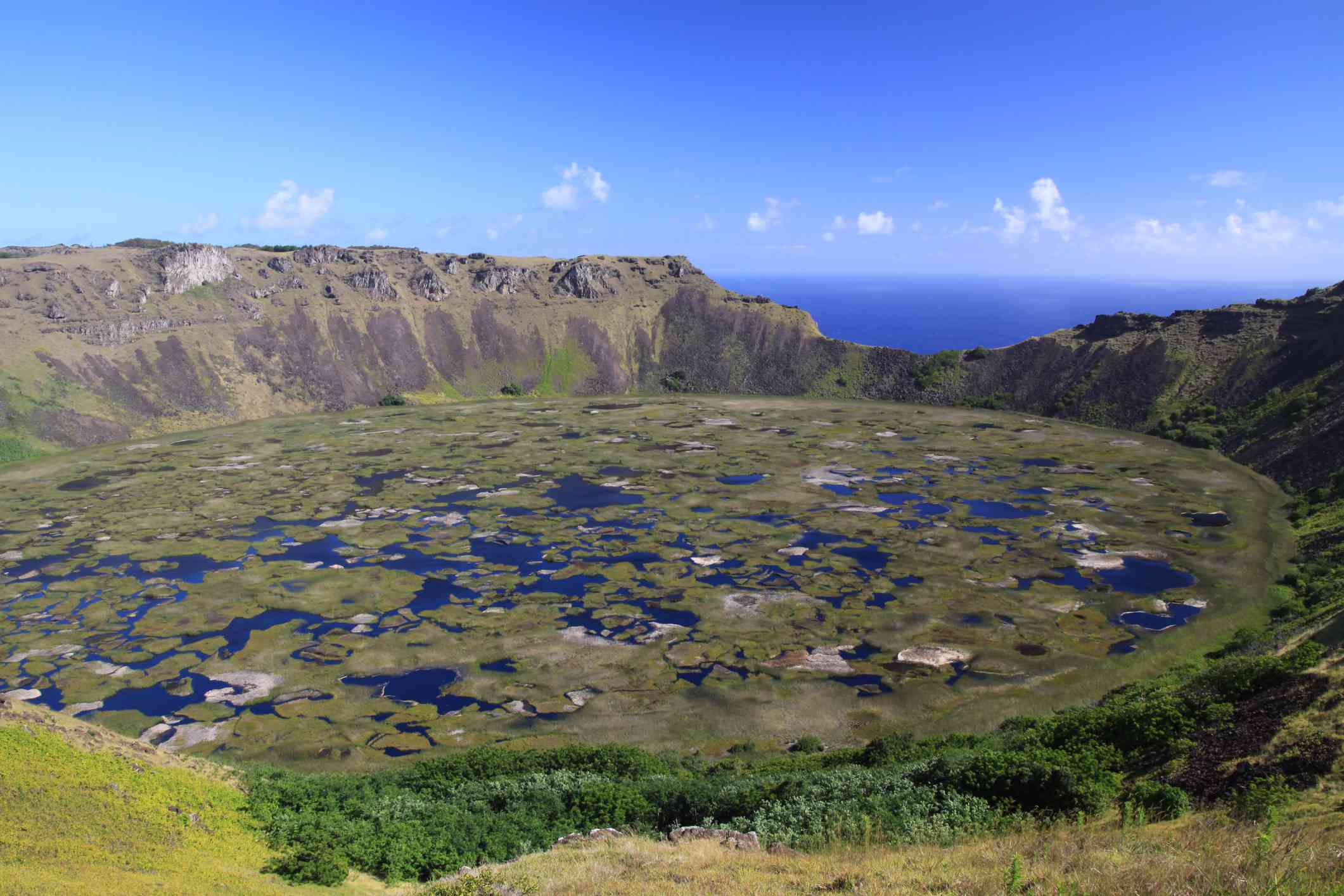 巨大的圆形火山口湖被漂浮的草覆盖