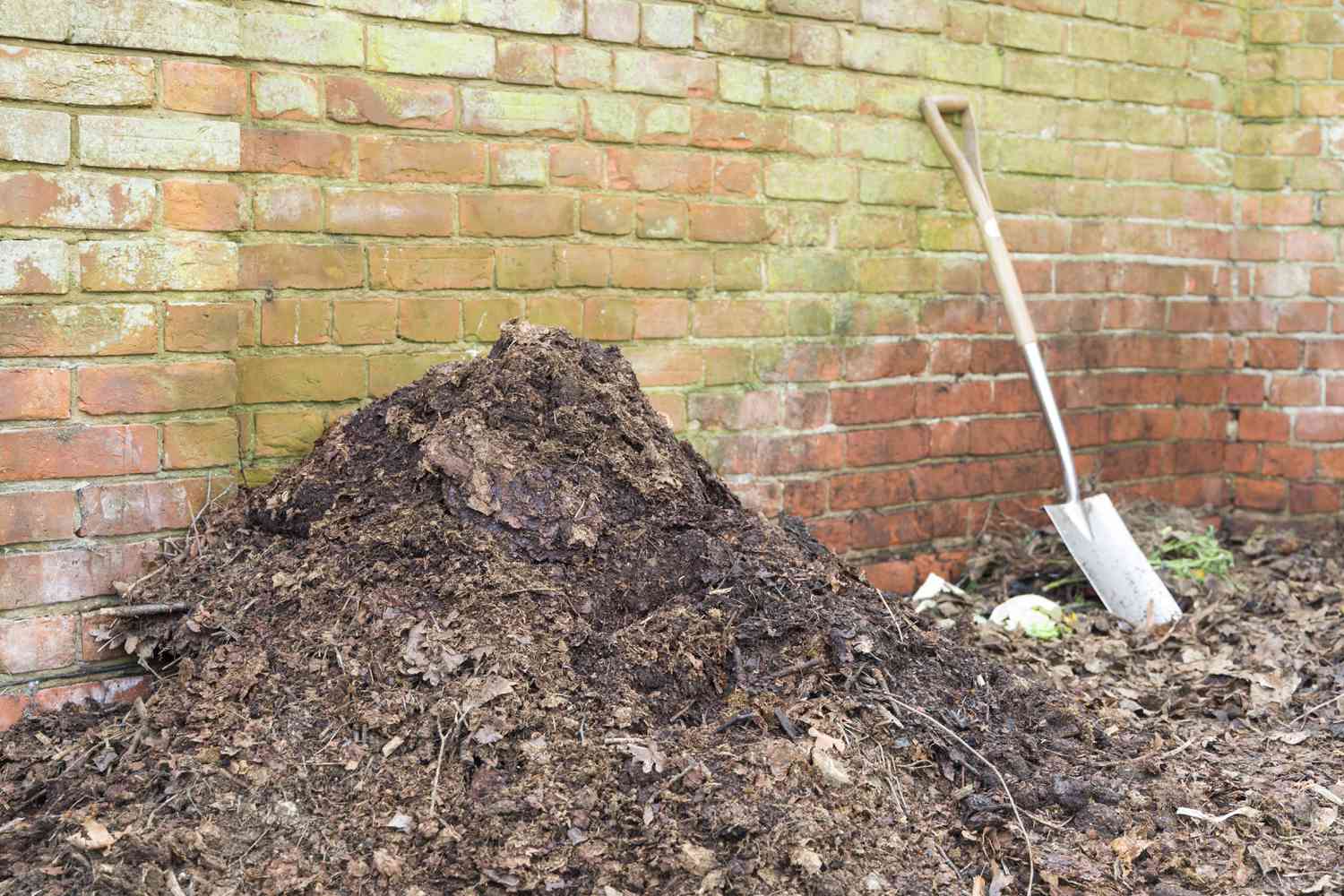 花园堆肥堆叶模具、有机质、英国