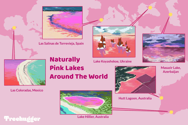 自然粉色的世界各地的湖泊illo”class=