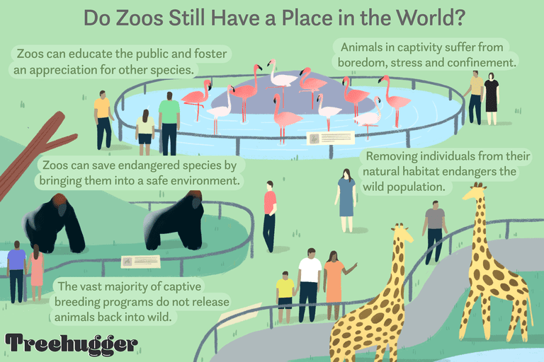动物园在世界上仍然有位置吗？“class=