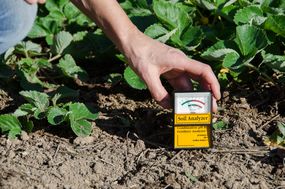 人在花园斑块中持有土壤pH分析仪以测试土壤酸度