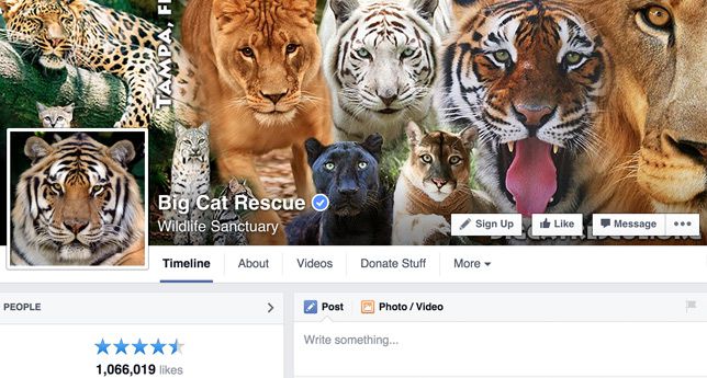 Facebook上的Big Cat Rescue