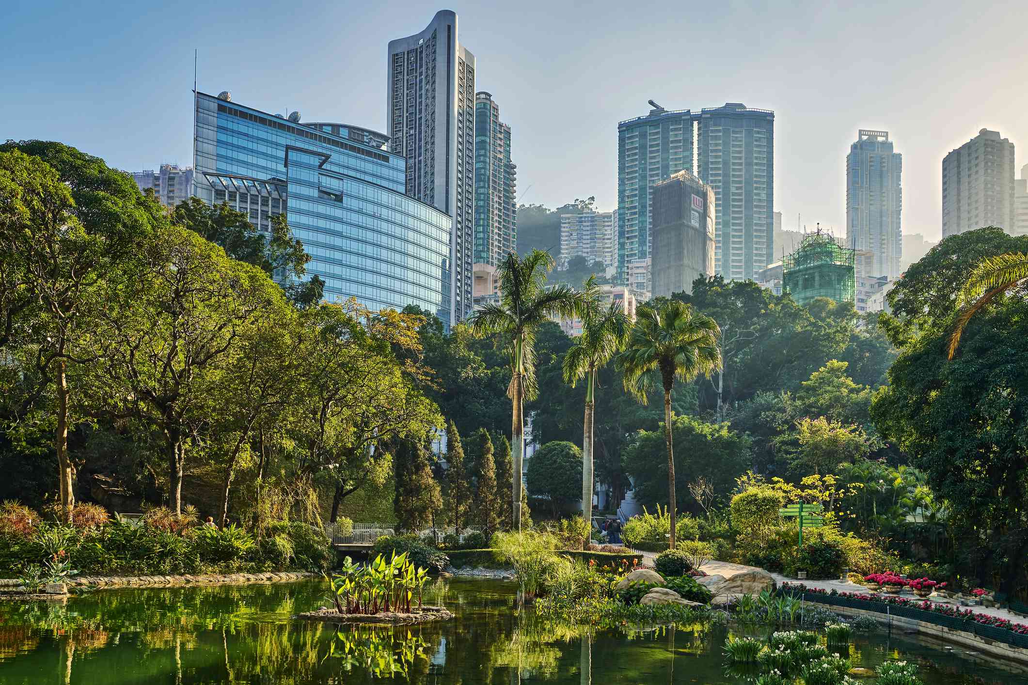 茂盛的公园和池塘与香港的天际线在背景