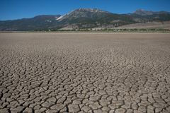 小washoe湖于7月15日，2021年在韦科科德城，内华达。据内华达州野生动物系称，由于长期干旱，湖泊干涸了。