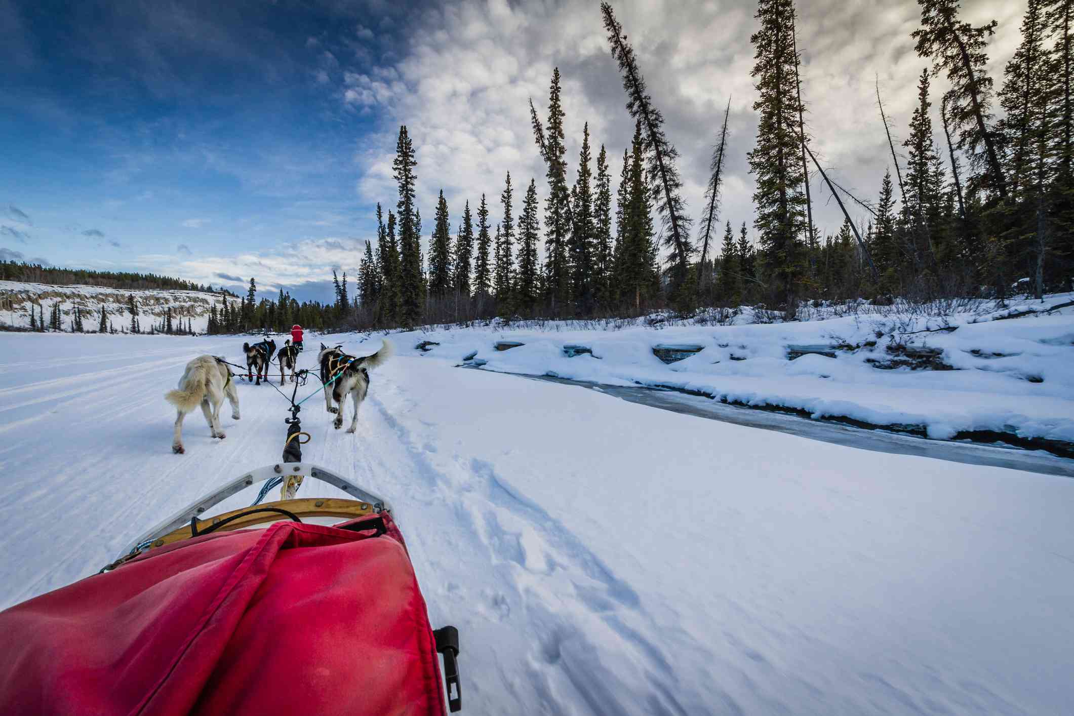 狗雪橇团队穿越加拿大Yukon的冬季景观“width=