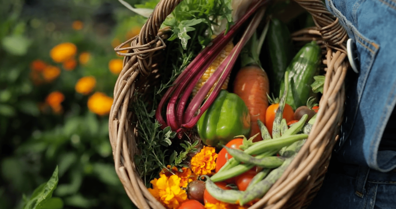篮子里装着各种各样的新鲜蔬菜和鲜花