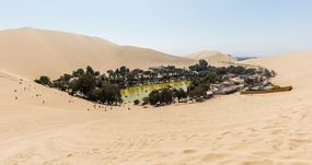 在秘鲁沙漠绿洲周围的树木和沙丘”width=