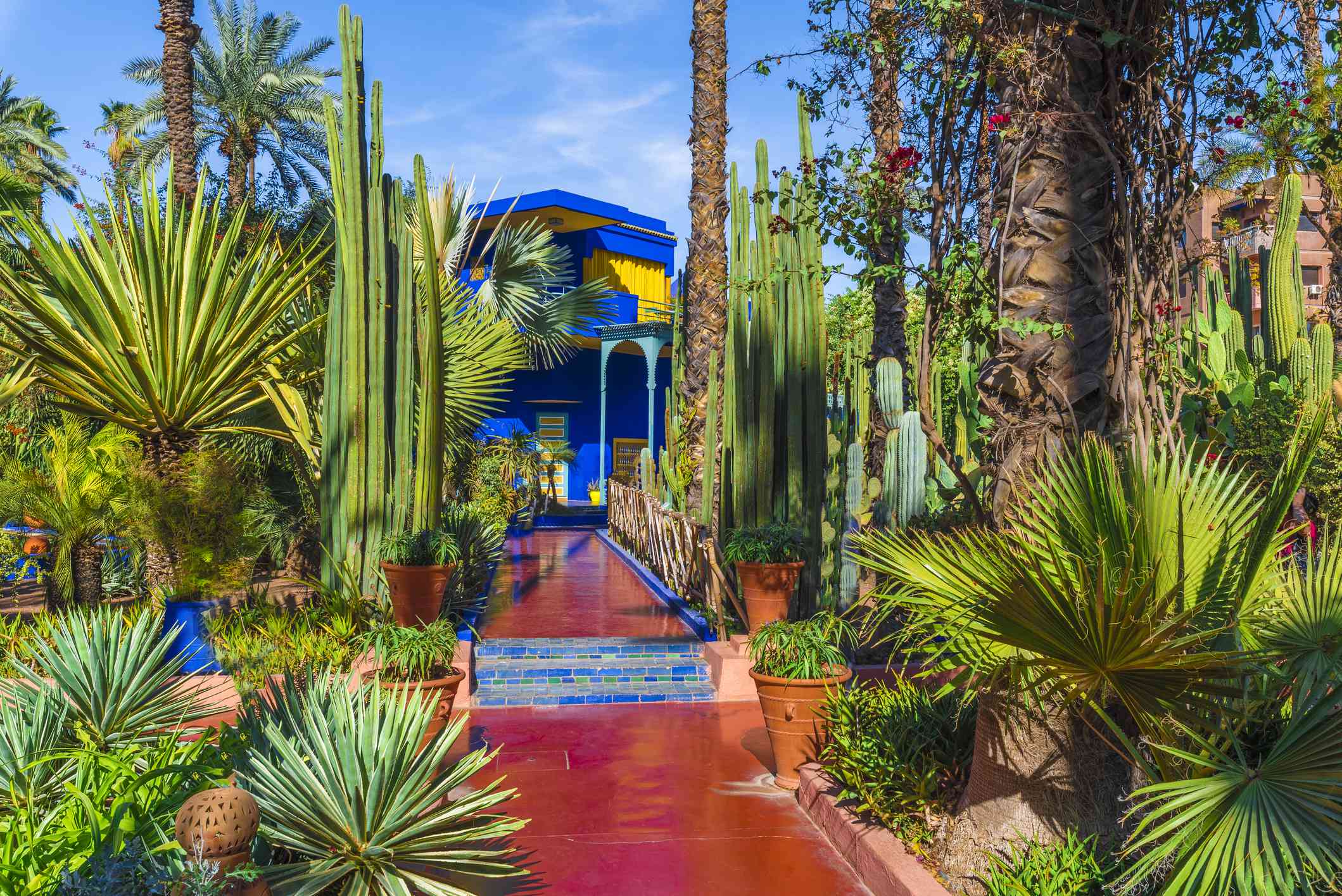 位于Le Jardin majrelle的热带花园，有蓝色的建筑，红色的小路和仙人掌