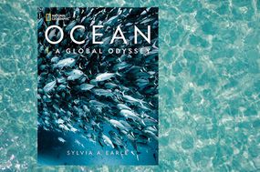 书的封面显示一群鱼在一个插图海洋背景＂width=