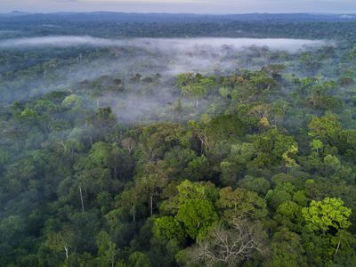 亚马逊热带雨林