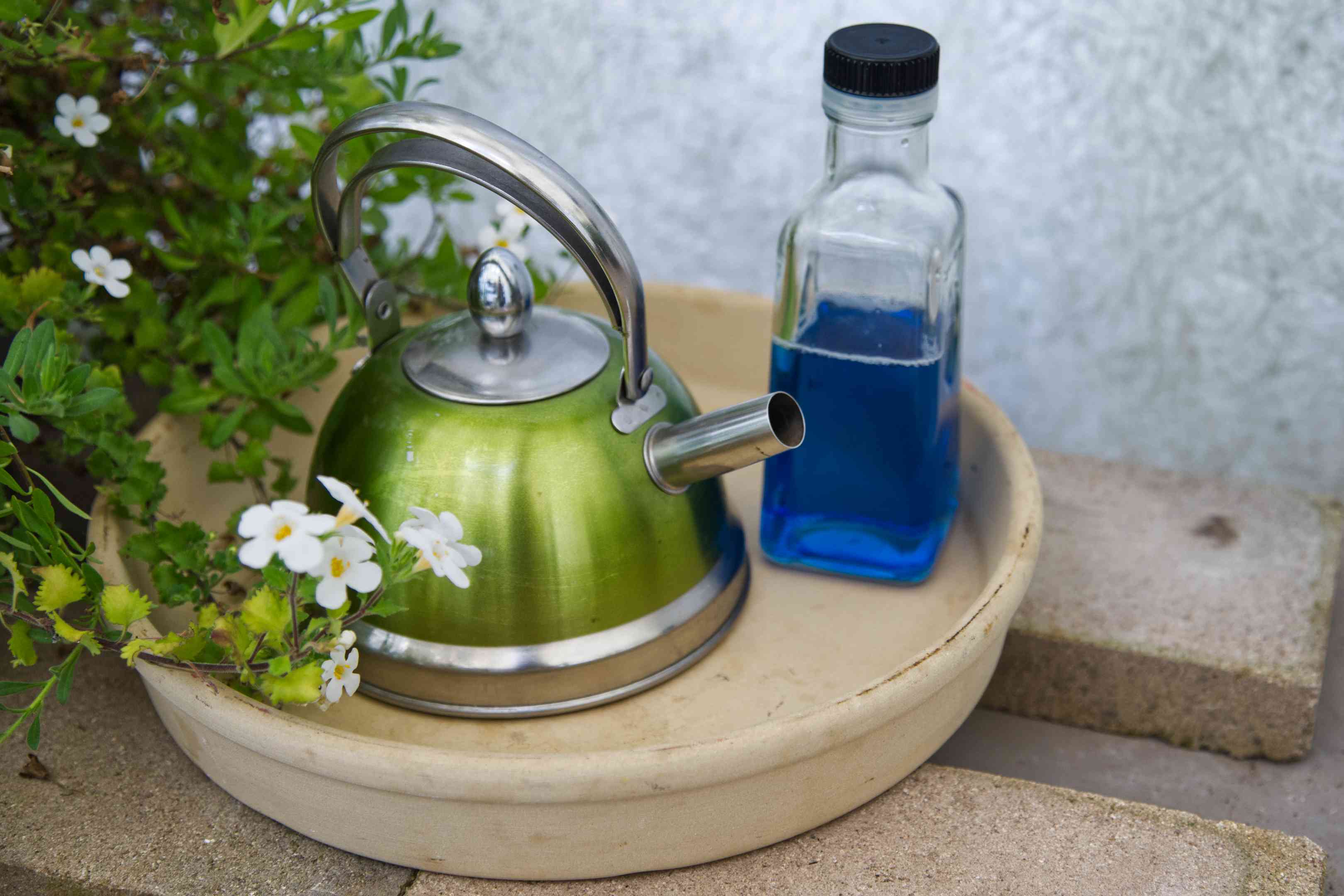 热水水壶和蓝色洗洁精在玻璃容器外面靠近花