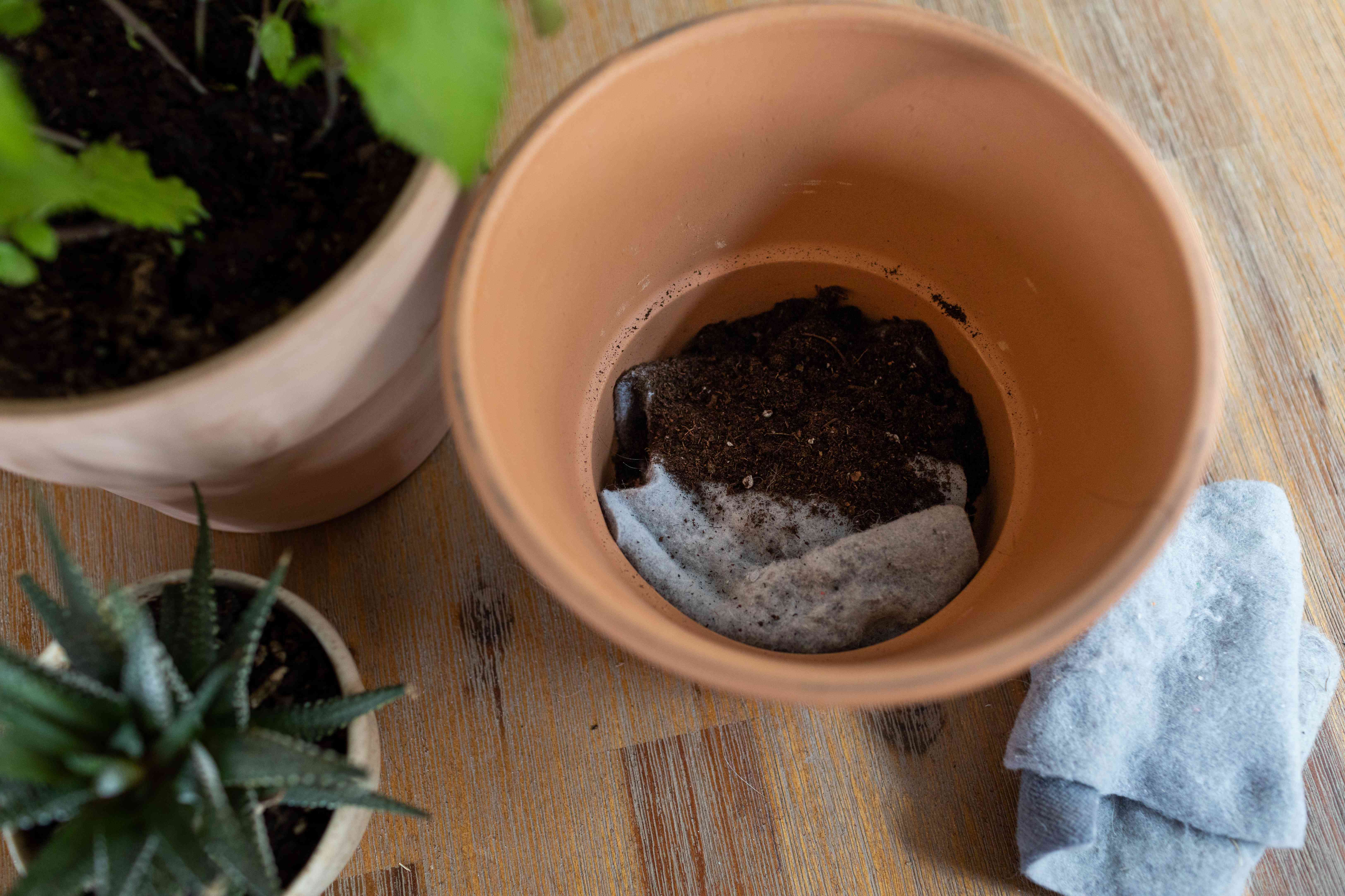 在种植植物前，将干燥机的棉绒与泥土放在陶土罐中＂width=