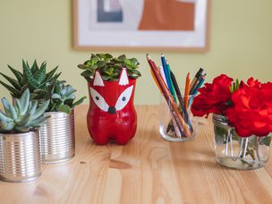 各种物品升级为新的家居用品，包括花盆和花瓶
