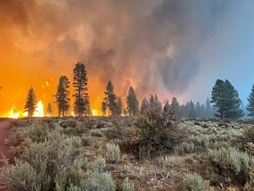 在美国农业部森林服务局提供的讲义中，盗版火灾于2021年7月12日在俄勒冈州布莱市燃烧。盗版大火已经占地212,377英亩，使其成为美国西部燃烧的数十种燃烧中最大的，随着创纪录的温度和干旱加油。