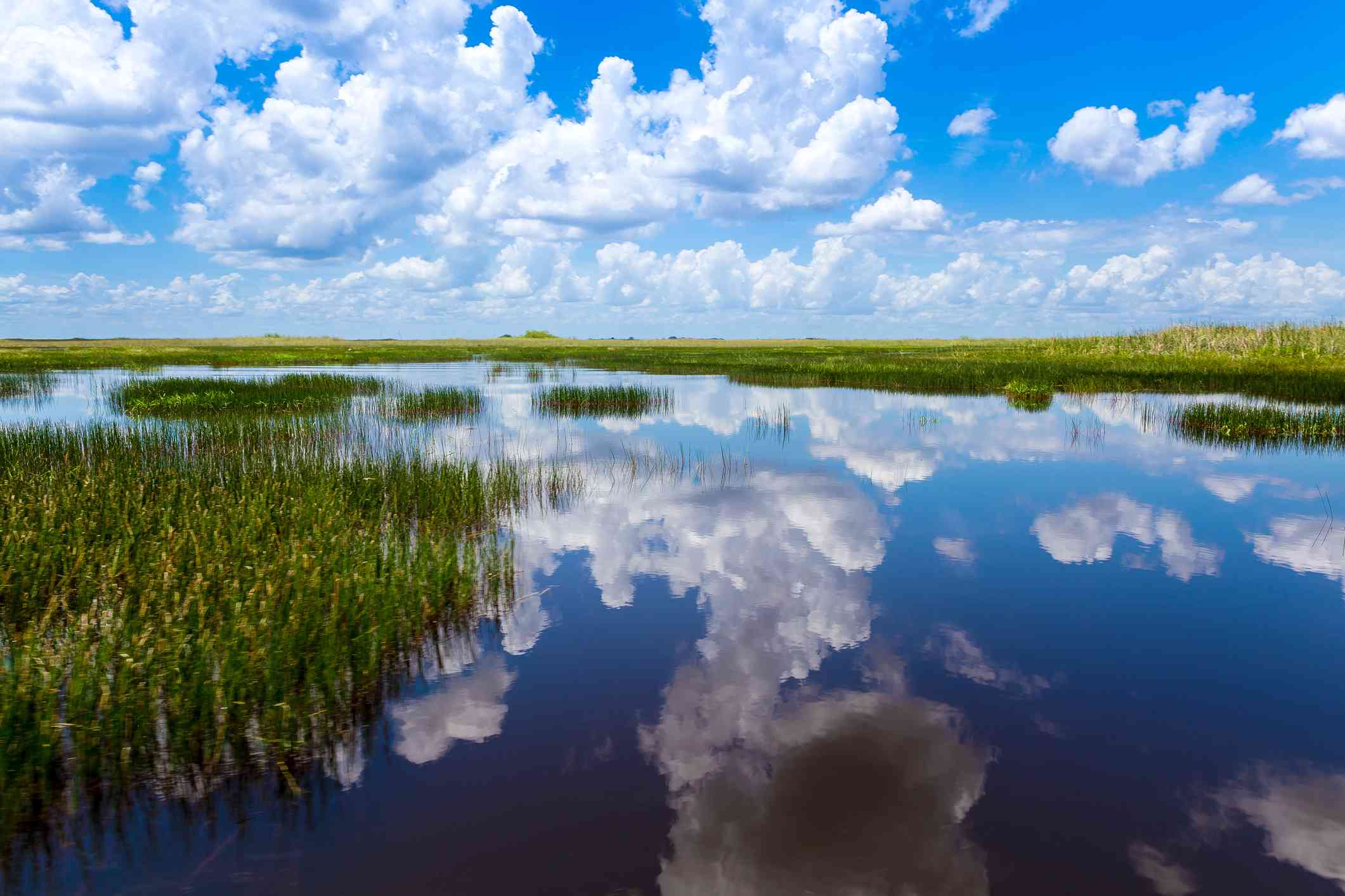 有蓝天的一个沼泽湿地充满了反射到水的表面上的松云。“width=