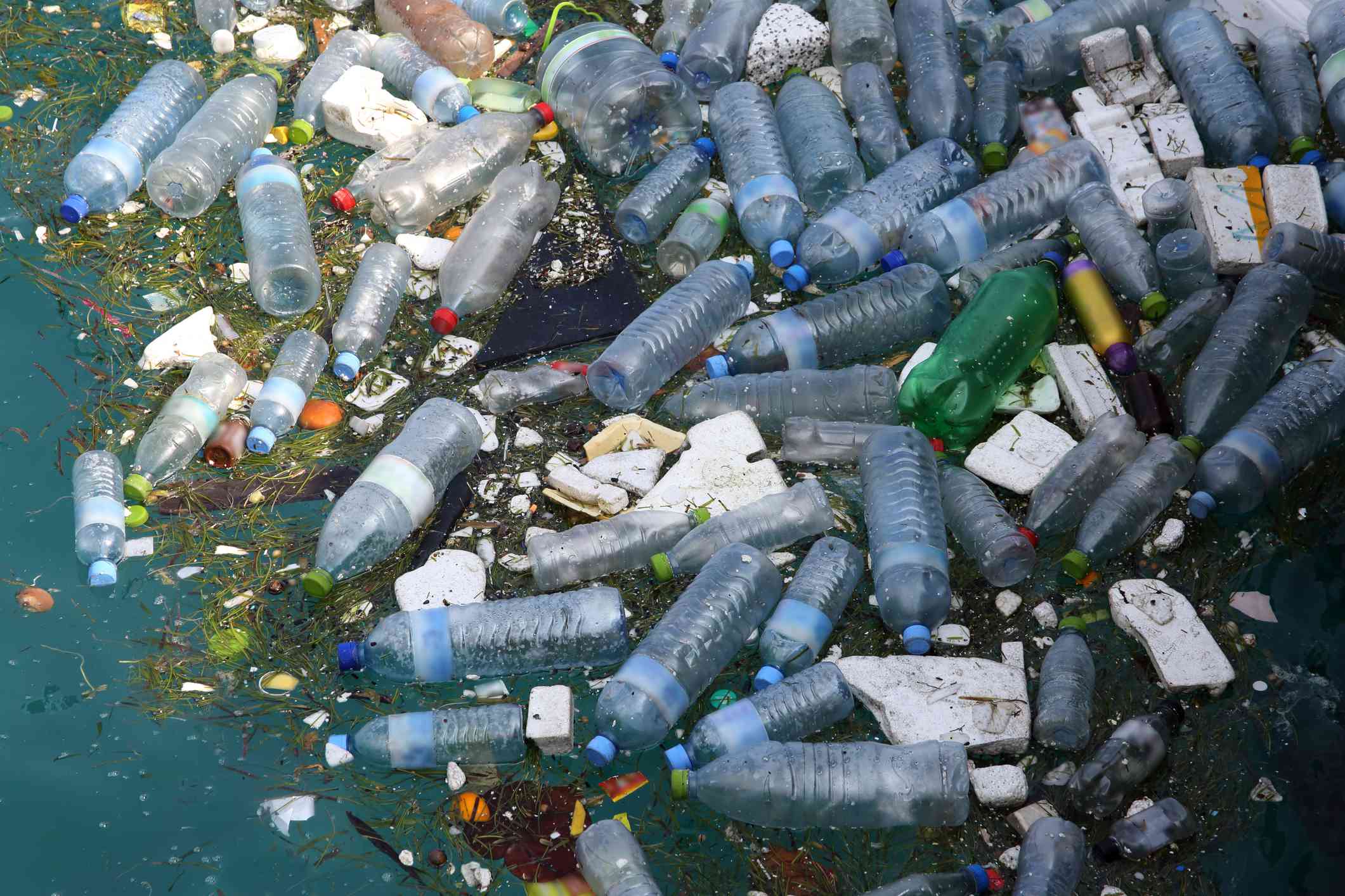 塑料瓶和其他垃圾漂浮在海洋中＂width=