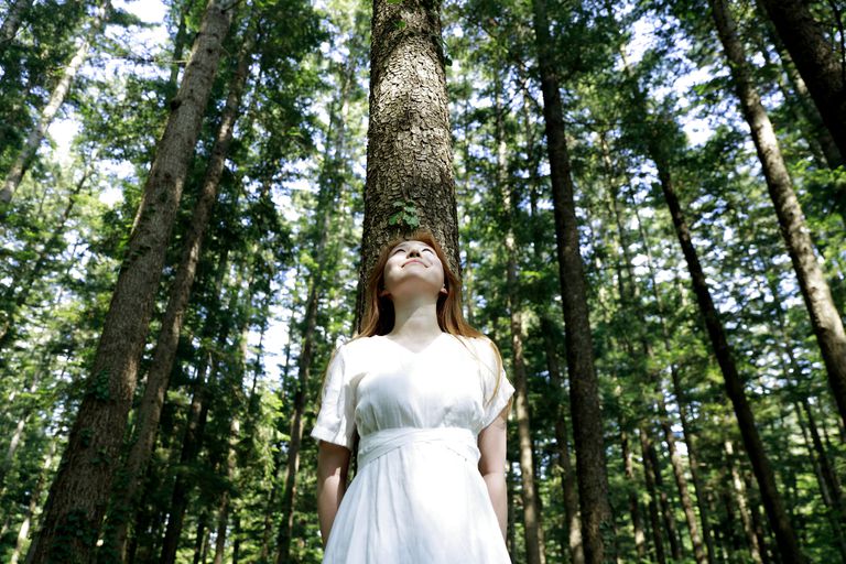 年轻的女人在森林里靠在树上