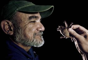 生态学家罗德里戈·麦德林和一只小长鼻蝙蝠＂width=