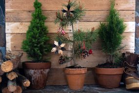 三棵盆栽圣诞树，其中一棵有装饰，旁边是圆木和靴子