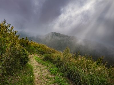 一个和平的徒步旅行在七星山在阳明山国家公园,台湾。