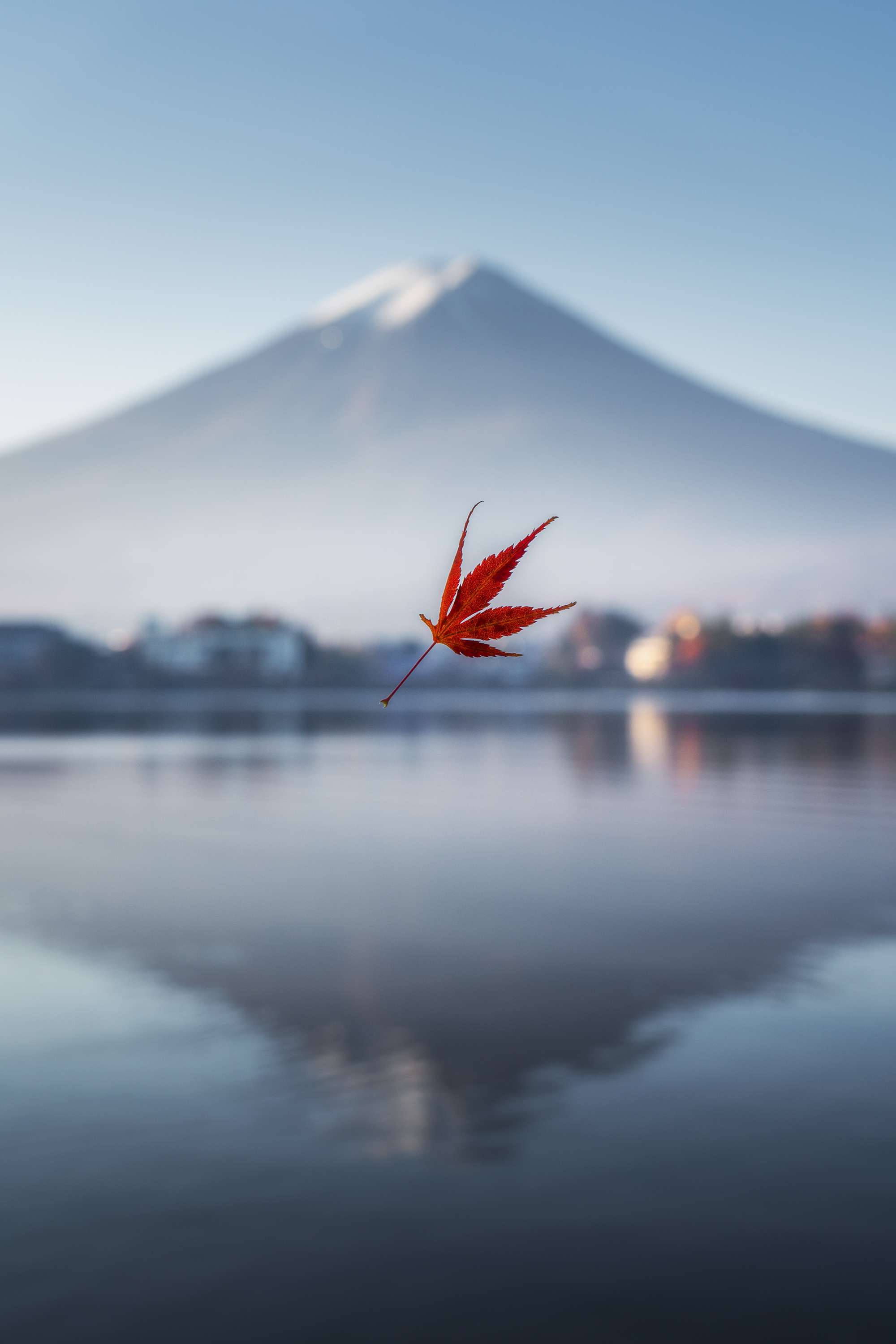 秋季浮标