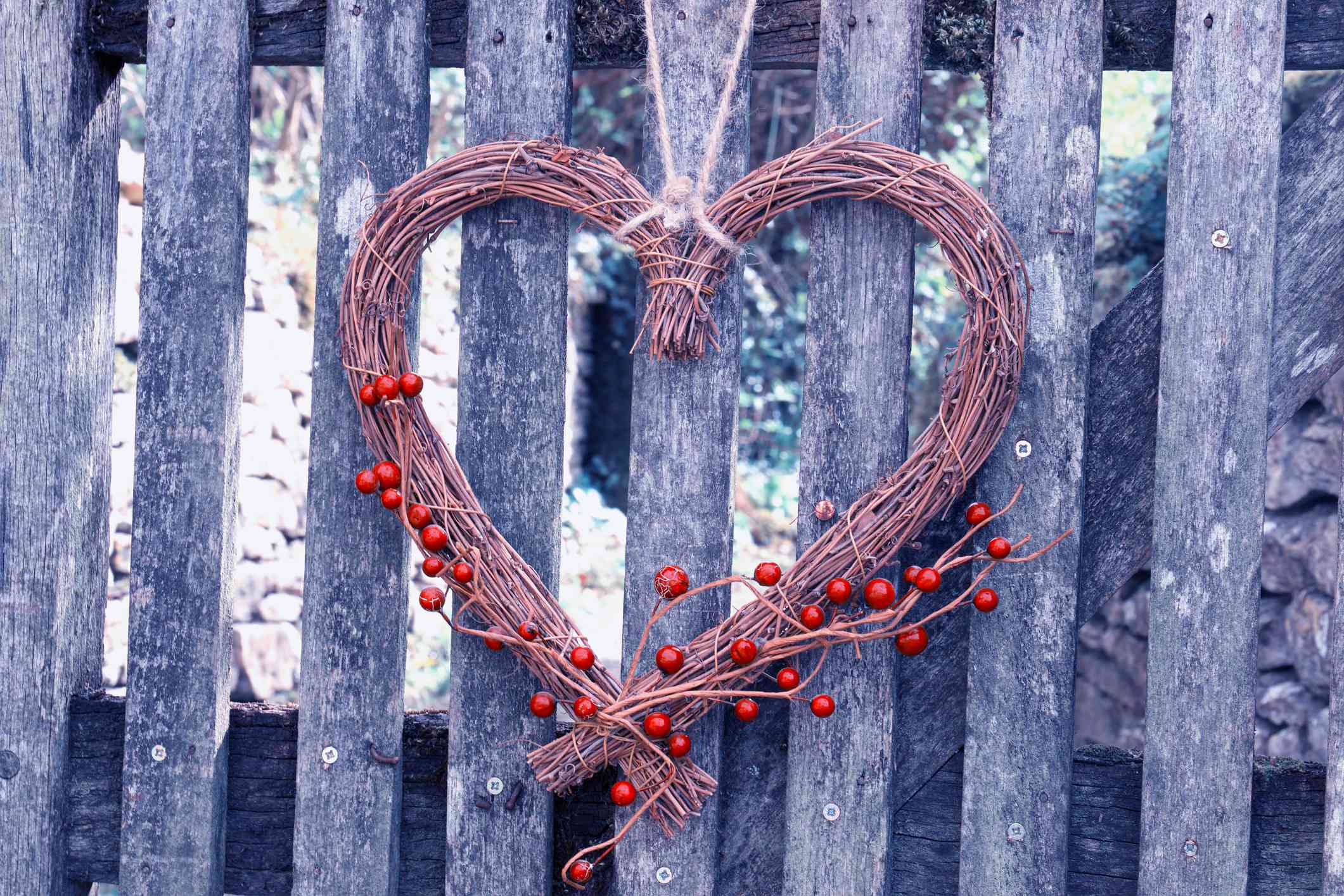 由悬挂在木篱笆上的干植物茎制成的心形