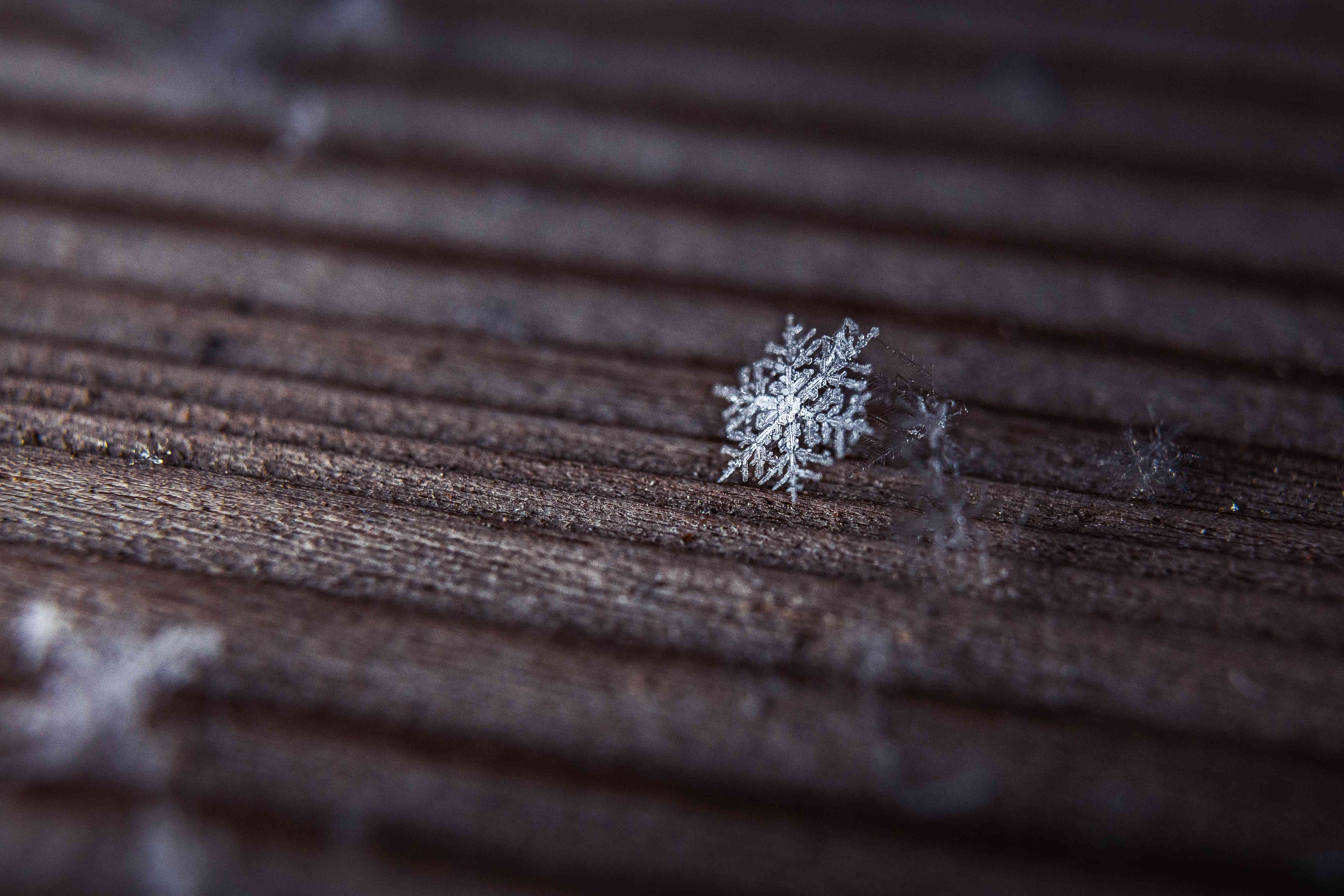 Close-up of snowflakes on table