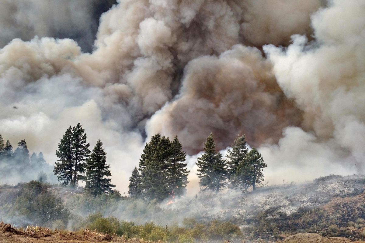 先锋大火位于爱达荷市附近的博伊西国家森林，2016年7月18日开始识别