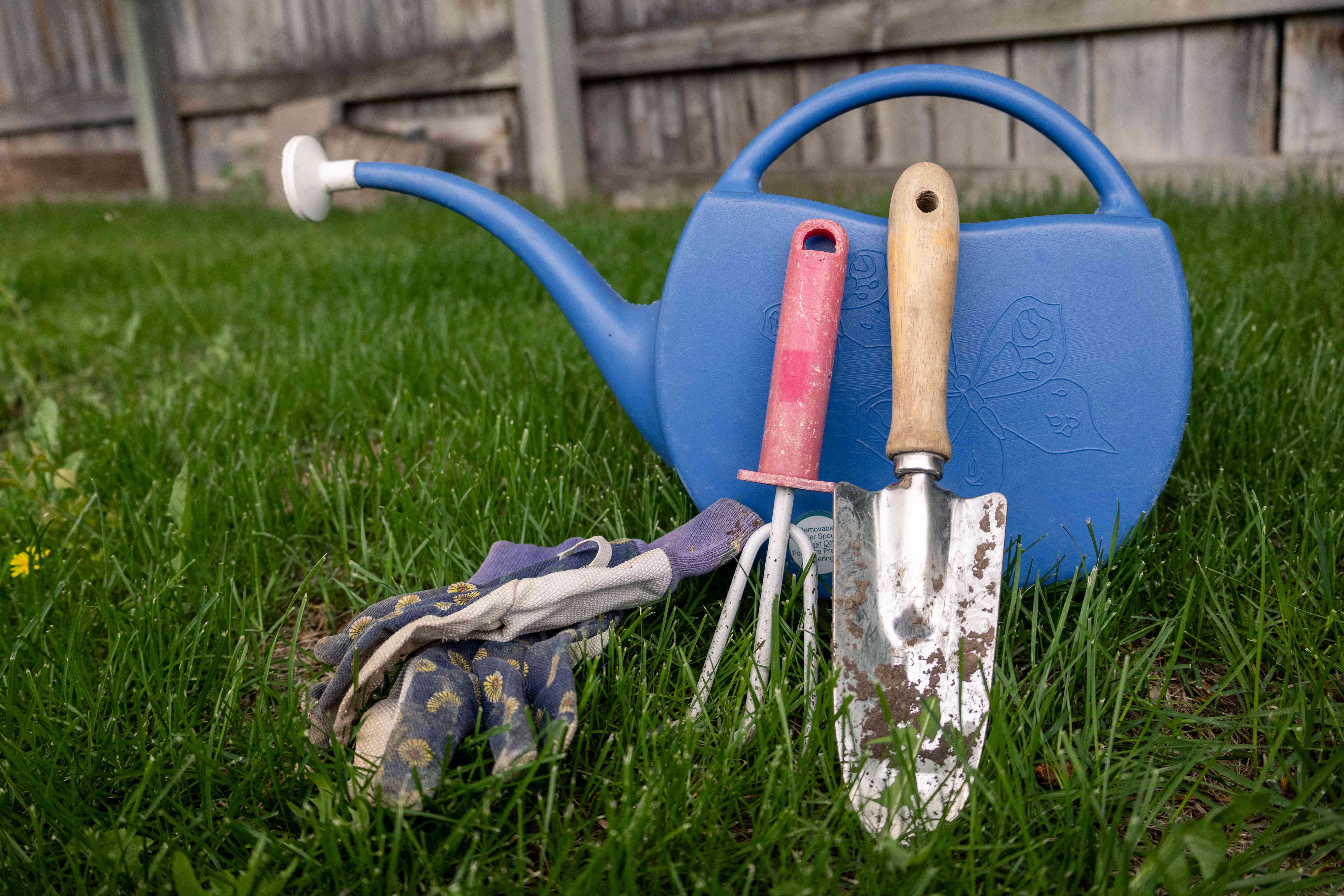 后院的各种园艺工具：浇水罐，手套，抹子，槽