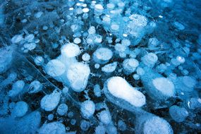 甲烷气泡从湖泊沉积物中被困在冰中＂width=