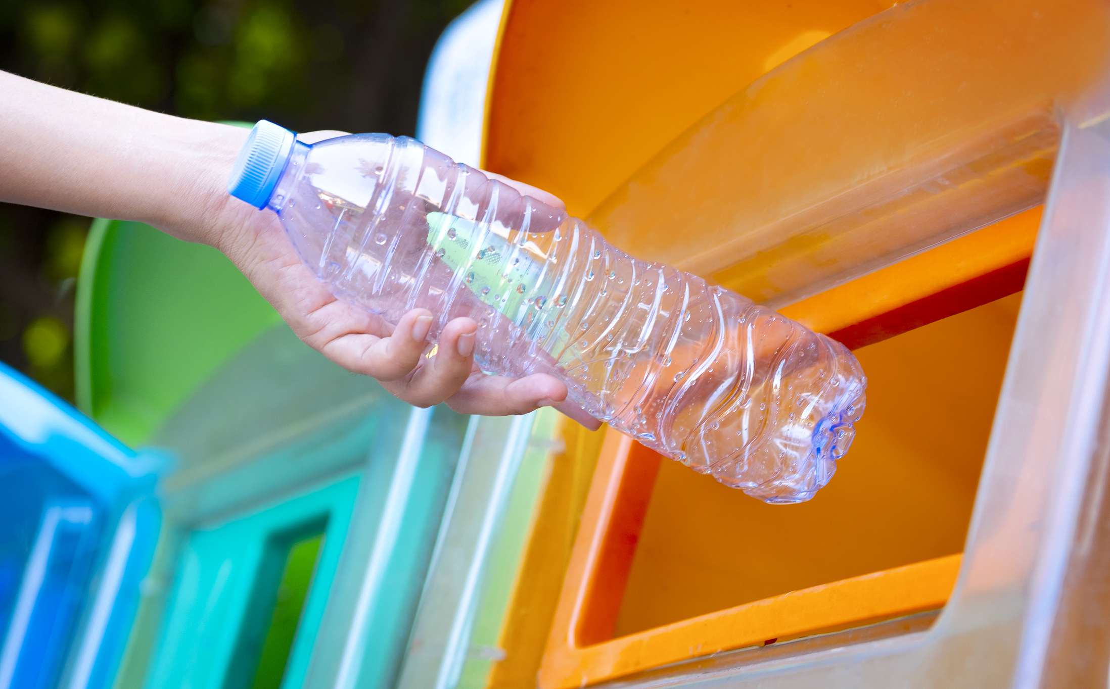 一只手把一个塑料瓶放进堆肥箱。