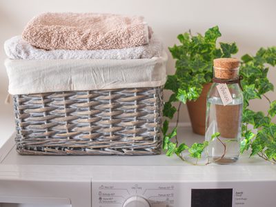 洗衣机用玻璃一瓶醋,洗衣篮,毛巾,常春藤植物
