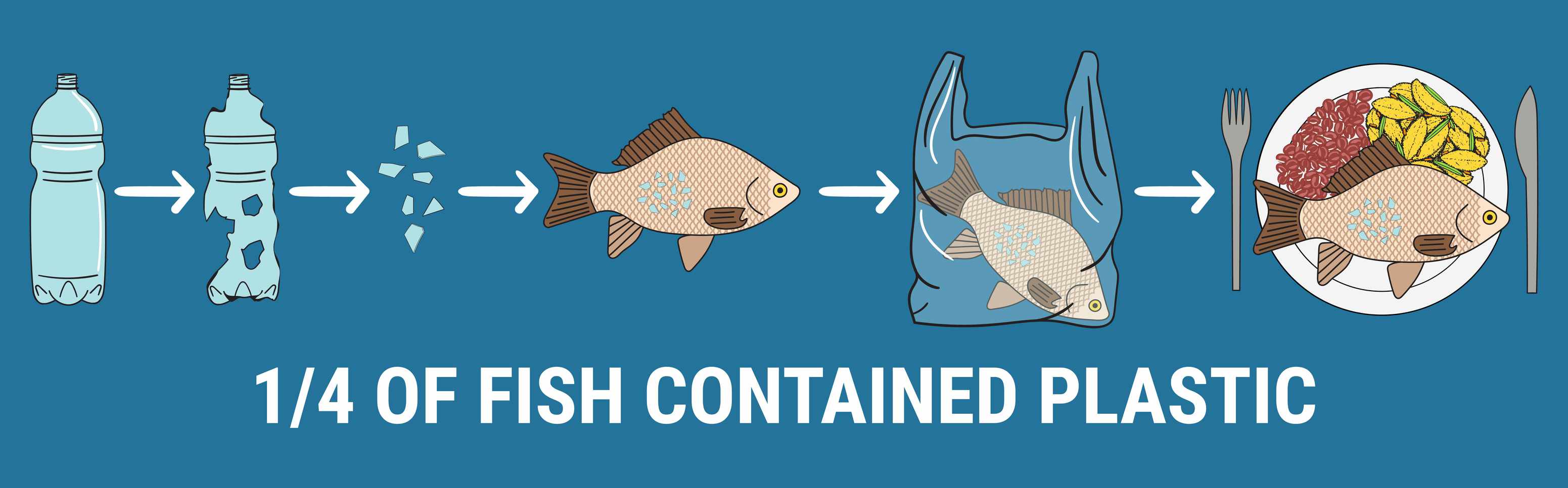 图片:1/4的鱼含有塑料＂width=
